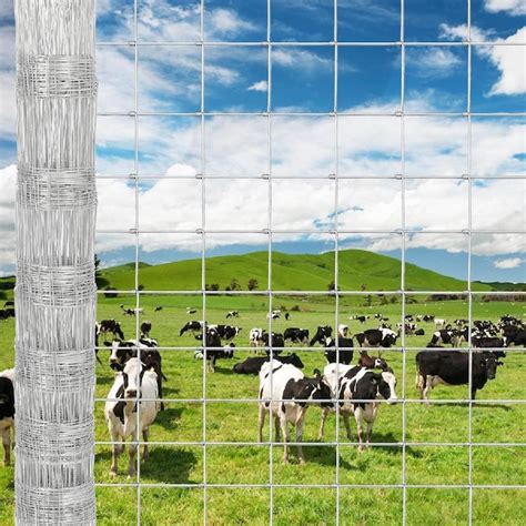 Garvee 4' x 164' Galvanized Wire Fence Roll for Garden and Yard in the ...