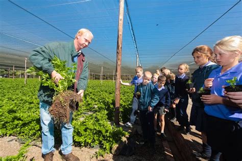 Farming Learning 的图像结果