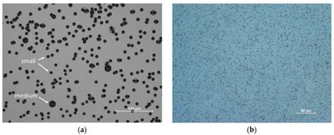 GaN Single Crystalline Substrates by Ammonothermal and HVPE Methods for ...