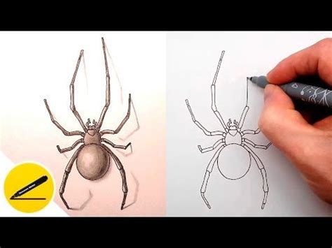 Image result for Spider Tutorial