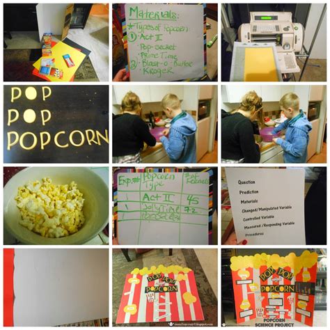 Science Project ... Un-popped Popcorn Kernels | Science projects ...