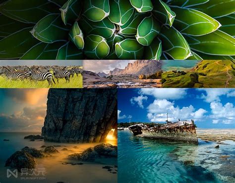 Bing 主页图片 的图像结果