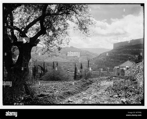 A photograph of the Valley of Jehoshaphat, a significant biblical ...