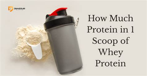 How Much Protein in 1 Scoop of Whey Protein