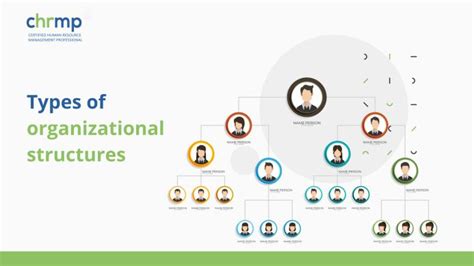 Image result for Organizational Structures Types