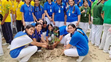 Christ Jyoti Convent School | Van Mahotsav