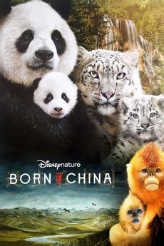 《我们诞生于中国》海报设计|平面|海报|weepingcat - 原创作品 - 站酷 (ZCOOL)