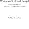 Buy Widows of Colonial Bengal: Gender, Morality and Cultural ...