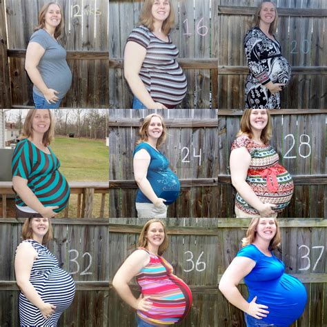 Triplet belly progression by ericasmall39 on DeviantArt