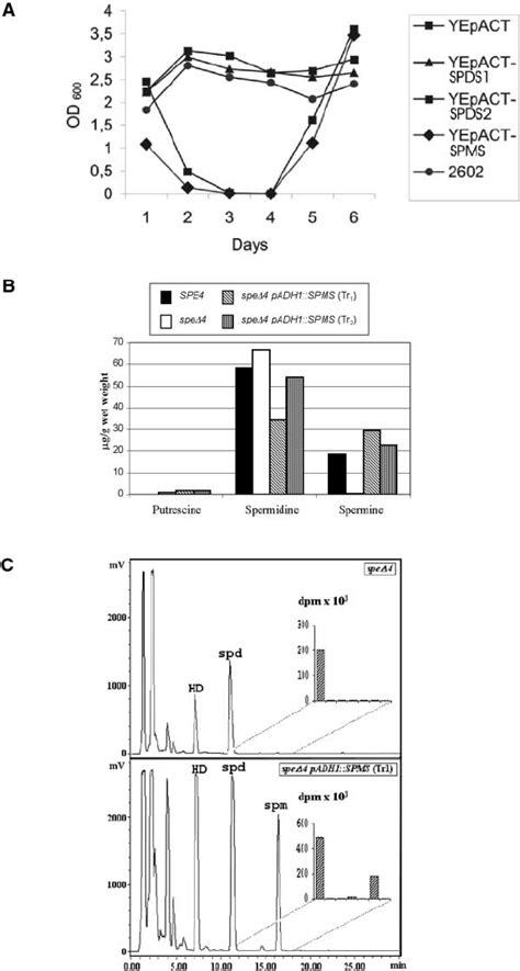 Complementation Test Kit 的图像结果