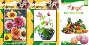 Airex Chyrsantheum and Lotus Flower Seeds + Humic Acid Fertilizer (For ...