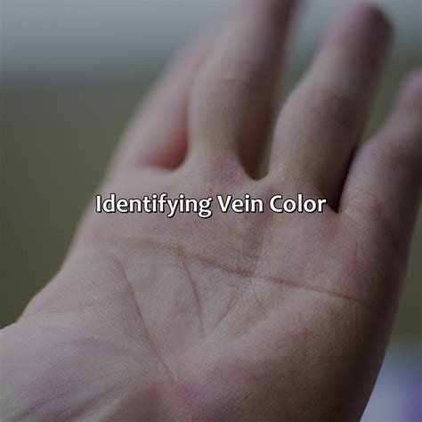 What Color Are Your Veins - colorscombo.com