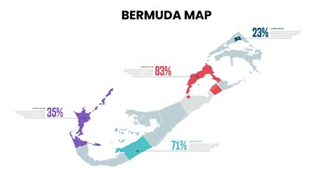 Premium Vector | Bermuda Modern Map Percentage Infographic Template ...