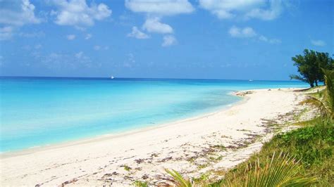 Images Of Bimini Bahamas _ Bahamas Bimini Island – OVNI
