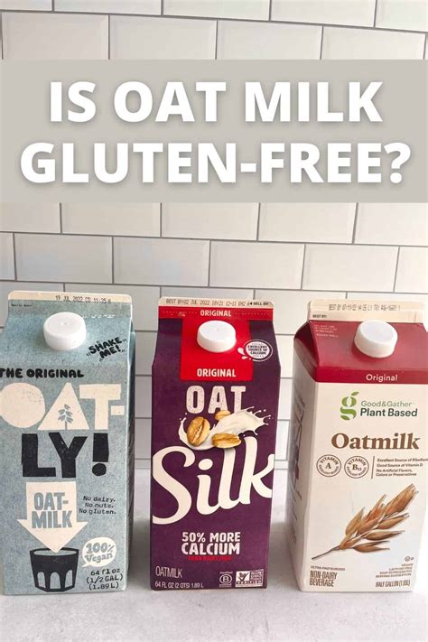 Is Oat Milk Gluten-Free? BRANDS THAT ARE! - Meaningful Eats