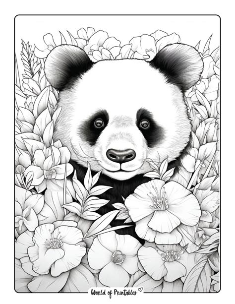Panda Coloring Pages For Kids & Adults - World of Printables