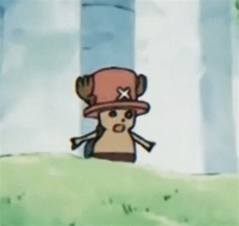 Pin by megan graham on Chopper appreciation | One piece chopper, One ...