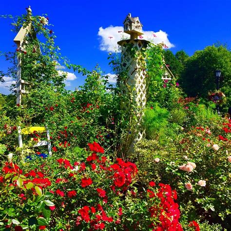 THE FARMSTEAD AT MILL SPRING (Lake Lure) - Guesthouse Reviews & Photos ...