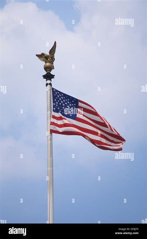 Amrerica National Flag 的图像结果