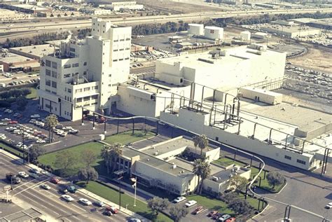 Artificial Plants Van Nuys at Edward Calvo blog