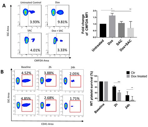 Doxorubicin-Induced Platelet Activation and Clearance Relieved by ...
