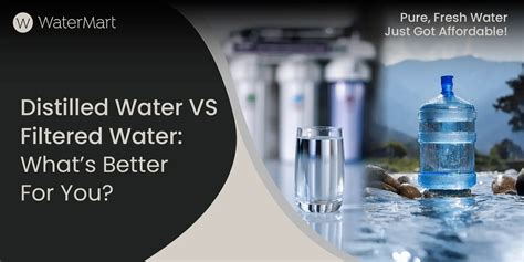 Distilled Water Vs Filtered Water! What’s The Difference?