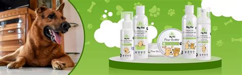 Dogs – GroomMyPet