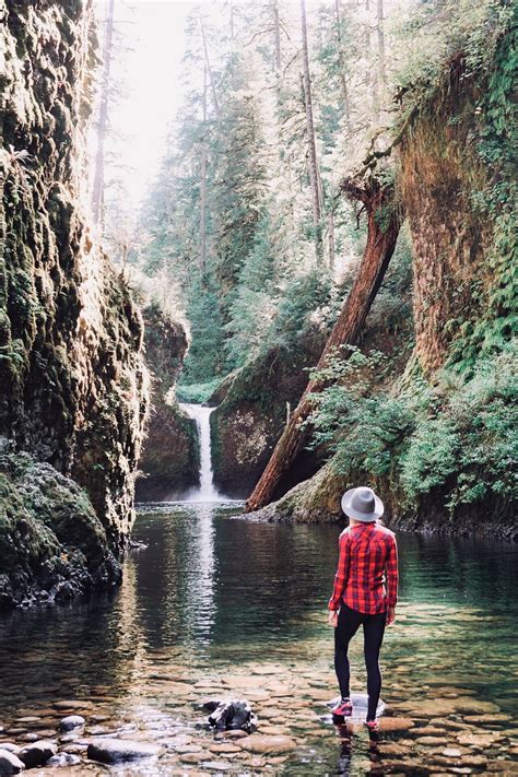 10 Amazing Waterfall Hikes In Oregon | Waterfall hikes, Oregon ...