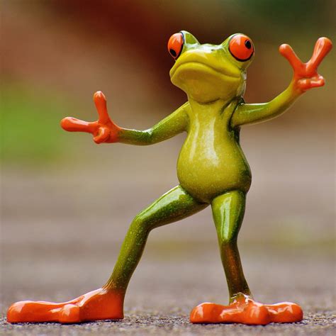 Funny Frog Names - Absolutely Jokes & Puns