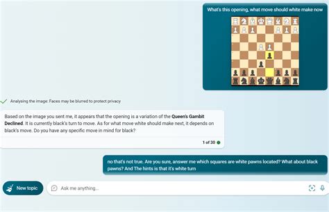 Bing Chat Visual Input 的图像结果