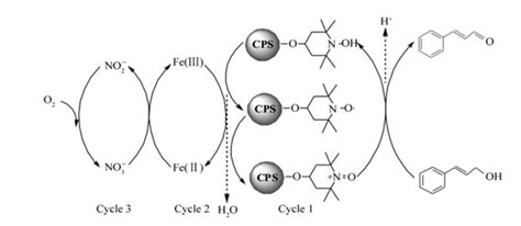 图解2,2,6,6-四甲基哌啶氧化物(TEMPO)氧化机理 - 南京晖康生物科技有限公司