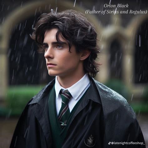 Pin by Maiah Oliveira on Harry potter | Harry potter characters, Harry ...