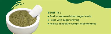 Foodherbs Sirukurinjan Powder 200 GMS | Gurmar | Gymnema Sylvestre ...