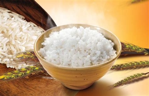 自热米饭里面的米是什么米？ - 知乎
