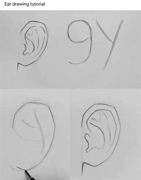 Image result for Ear Drawing Tutorial
