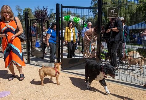 Photos: Dali’s Dog Park opens at Peter F. Schabarum Regional County ...
