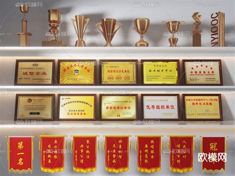 2015年学校荣誉(获奖)奖牌(奖状) 部分 - 内容 - 上海市徐汇区教育学院附属实验中学