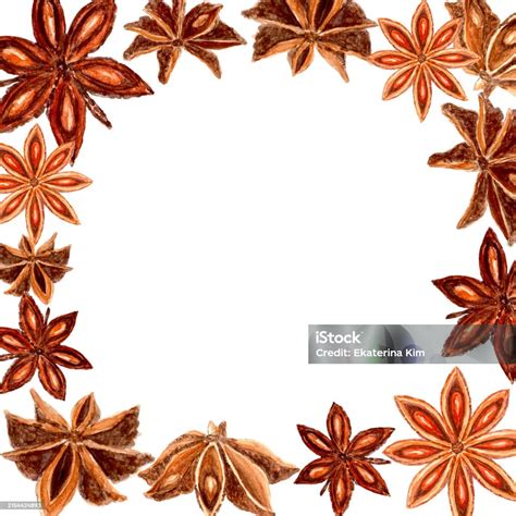 Star Anise Realistic Watercolor Frame On A White Background Five Brown ...