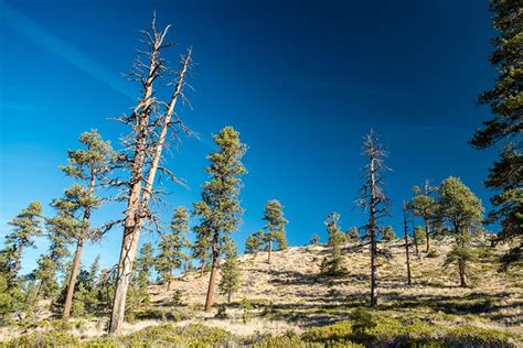 How to Remove Circular Polarized Lens Filter 的图像结果