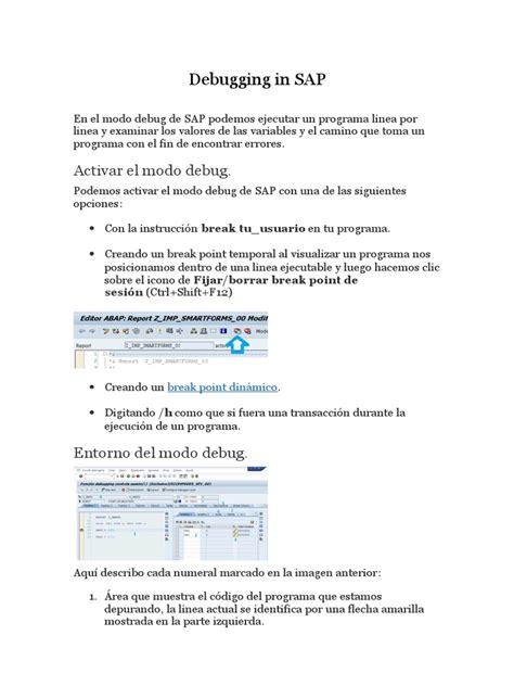 Debugging SAP Beginner 的图像结果