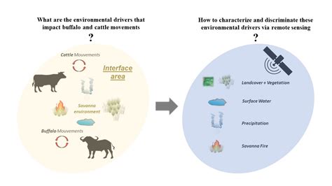 Ryan Hayward Ring Of Fire