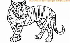 malvorlagen kostenlos tiger malvorlagengratis kinder malvorlagen aktuellen malvorlagen kostenlos tiger malvorlagengratis kinder malvorlagen aktuellen