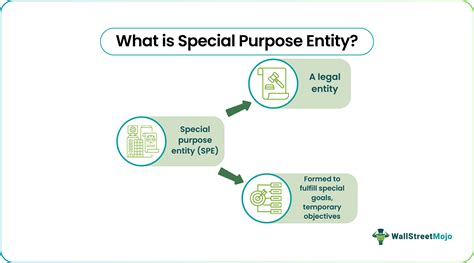 Special Purpose Entity - Meaning, Examples, Reasons, Advantages