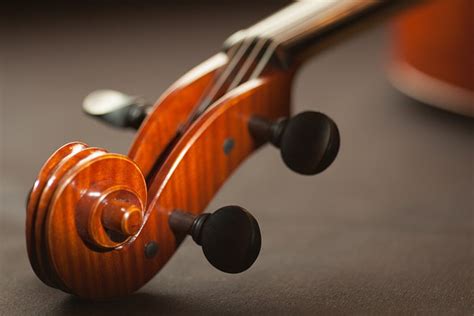 String Instrument 的图像结果