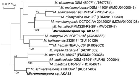 Taxonomic Positions and Secondary Metabolite-Biosynthetic Gene Clusters ...