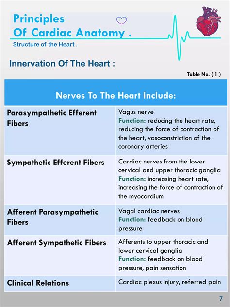 Image result for EKG Algorithm