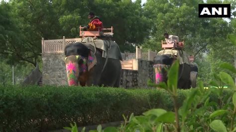 Mahouts elated as Rajasthan permits elephant rides in Jaipur's Amer ...