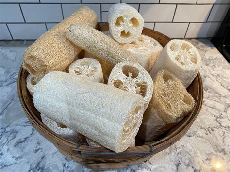 Organic Loofah Sponge - Oakwood Natural Living
