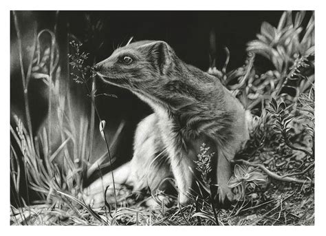 tutorial pencil photo sketch pro