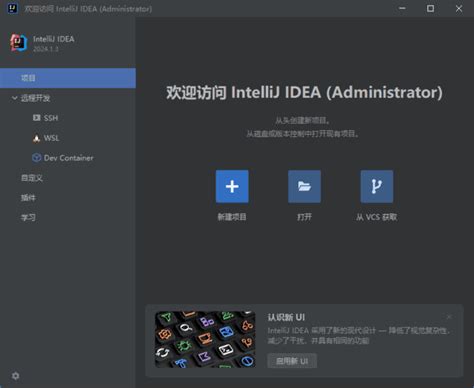 IntelliJ Java 的图像结果